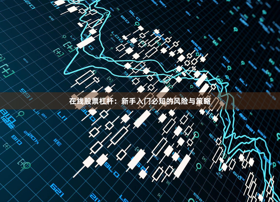 在线股票杠杆：新手入门必知的风险与策略