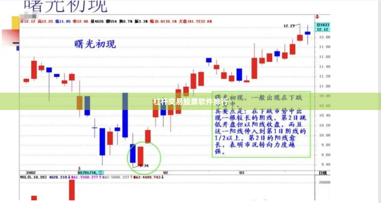 杠杆交易股票软件排行